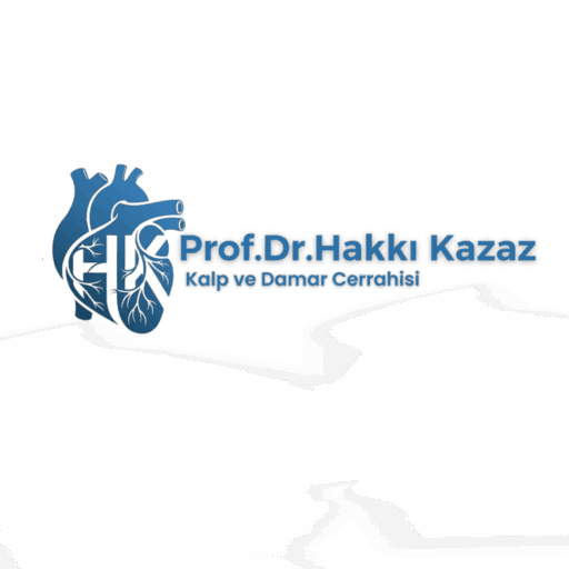 hakkı logo